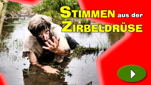 Stimmen aus der Zirbeldrüse